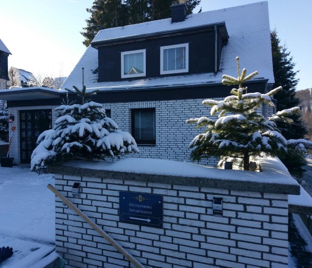 Apartment Muehlenberg Winterberg Exteriér fotografie
